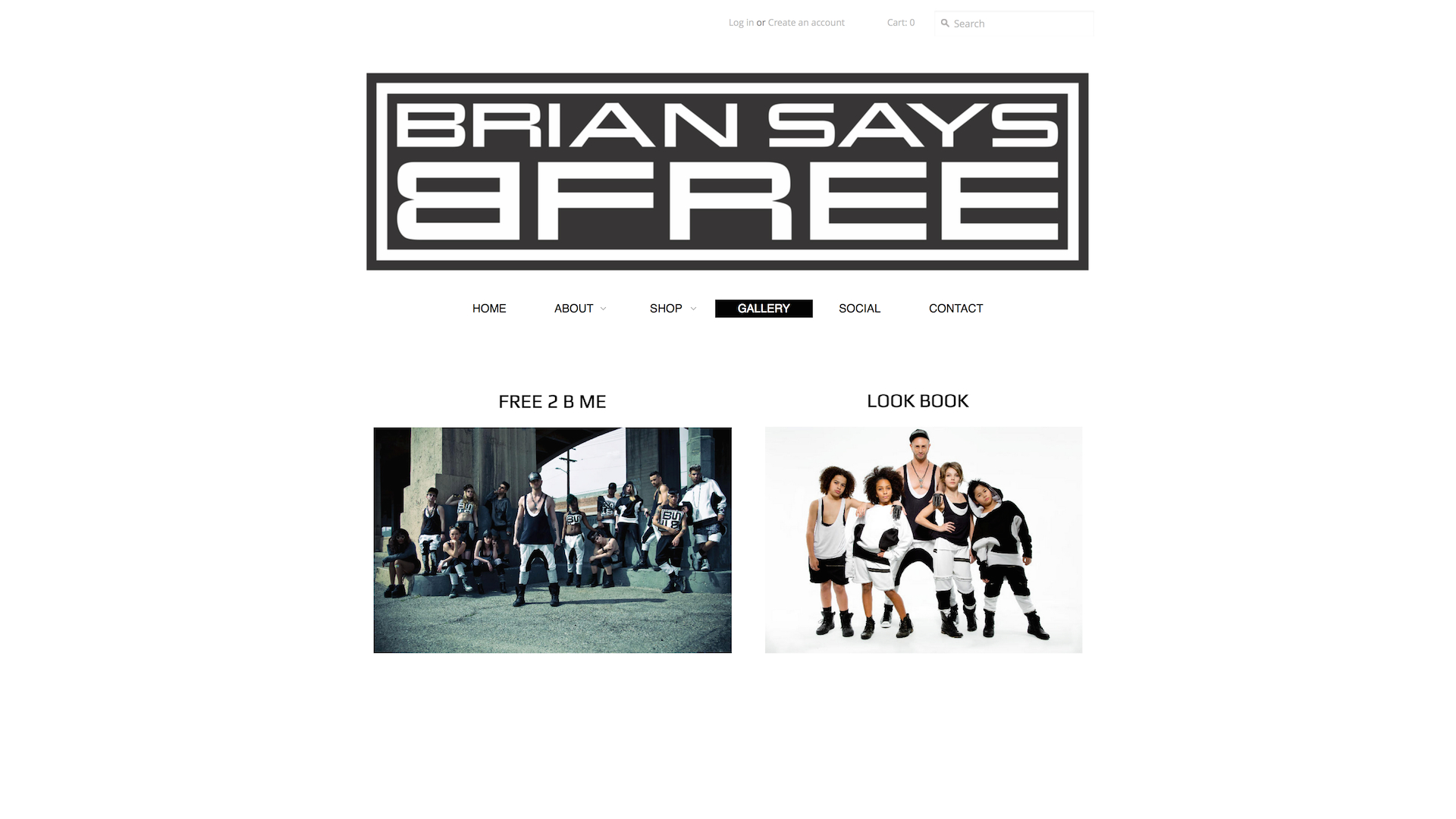 Shopify Experts BSBF Brian Says B Free Web Designers in San Francisco Jumpyr 00 Studios